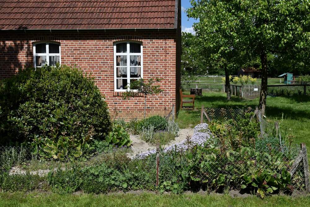 Sfeerbeeld: een bakstenen woning met een weelderige tuin.