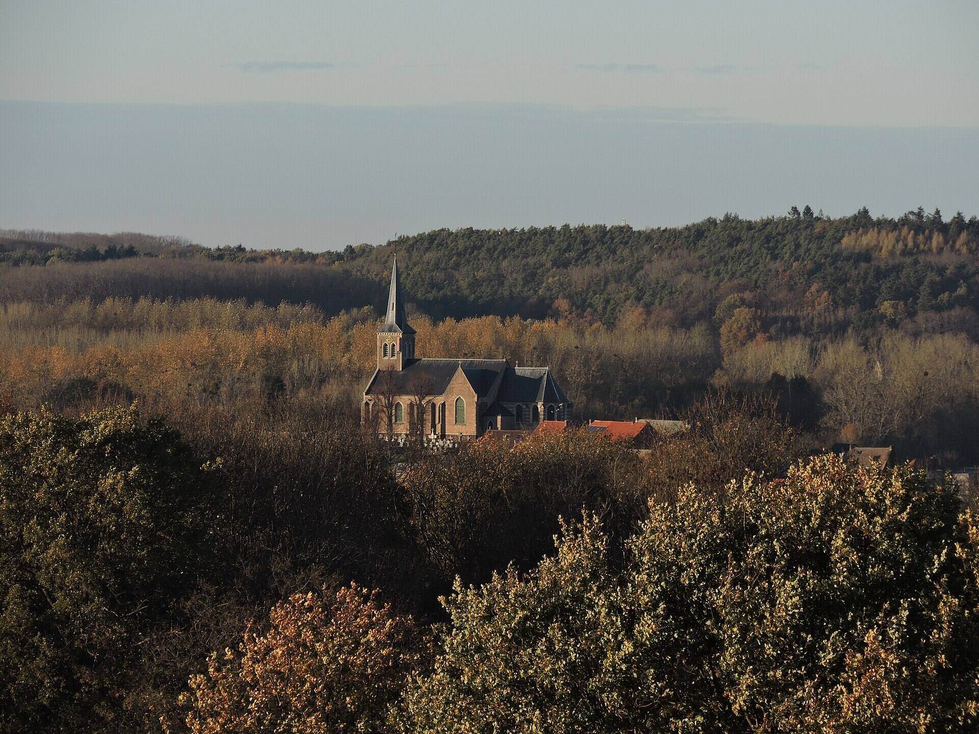 Sfeerbeeld: de kerktoren van Tielt boven een beboste heuvelrug.